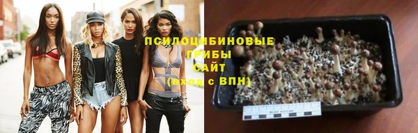 дживик Киреевск