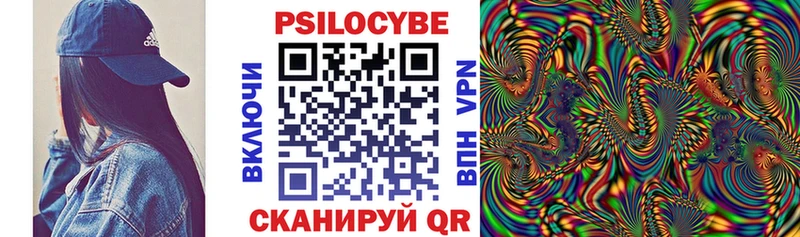 Купить закладки  Армавир  Псилоцибиновые грибы Psilocybe 